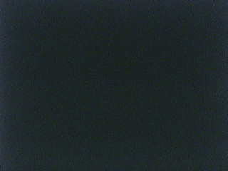 Pipeline Palm Cam, SNN